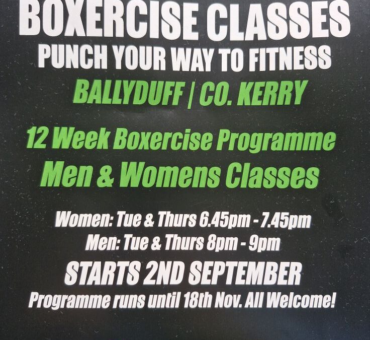 12 Week Boxercise Programme